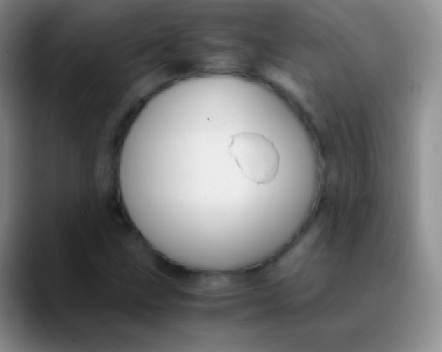 X0000089891211200707192008