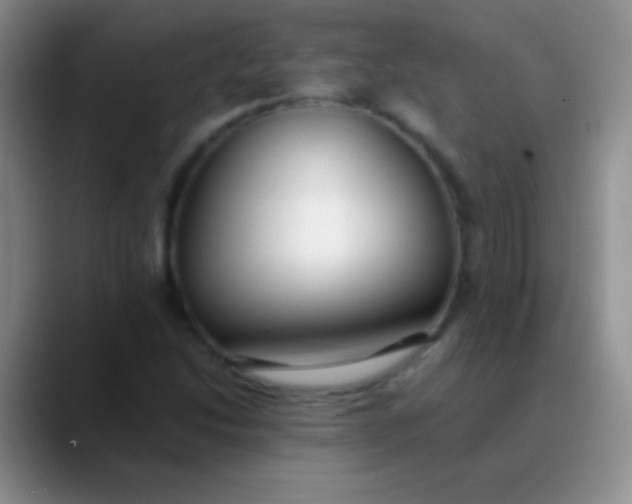 X0000089891214200707192008