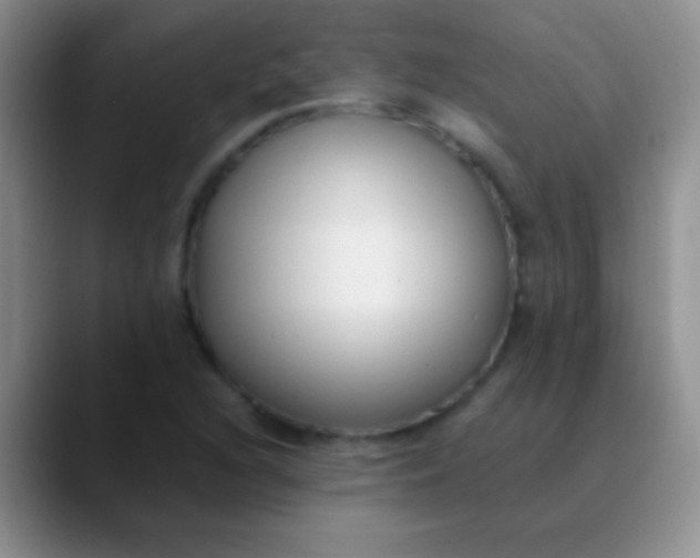 X0000089891216200707192008