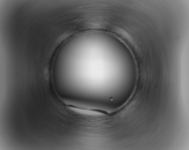 X0000089891218200707192008