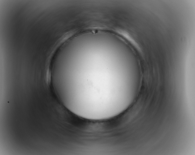 X0000089891221200707192008