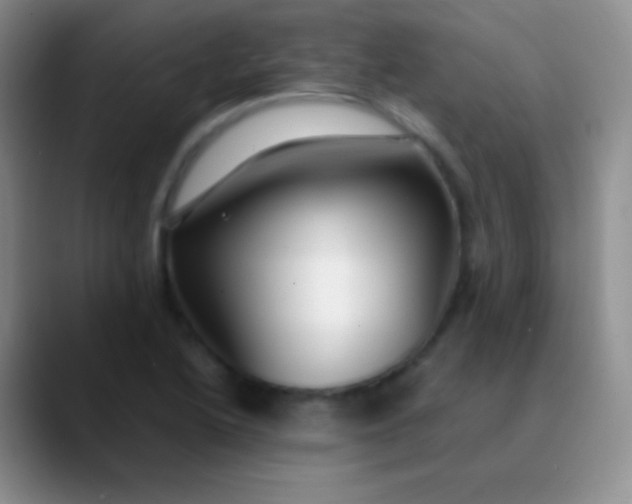 X0000089891222200707192008