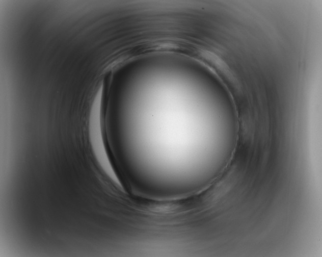 X0000089891225200707192008