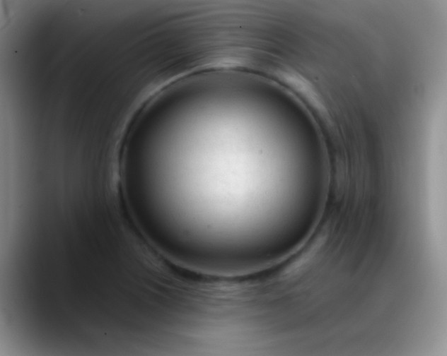 X0000089891226200707192008