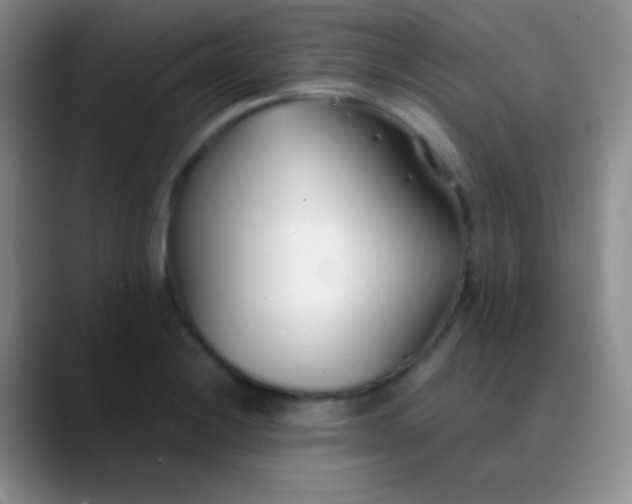 X0000089891228200707192008