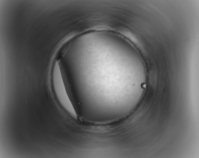 X0000089891229200707192008