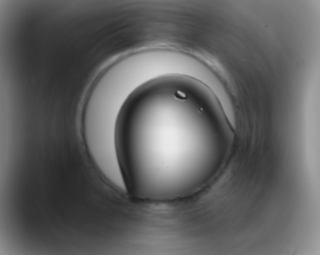 X0000089891230200707192008