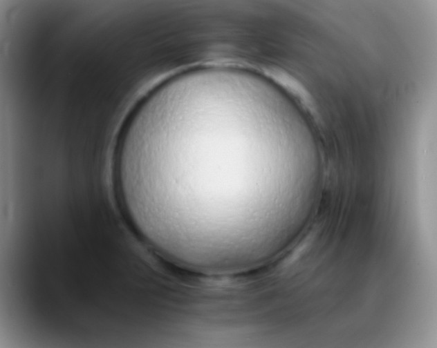 X0000089891231200707192008