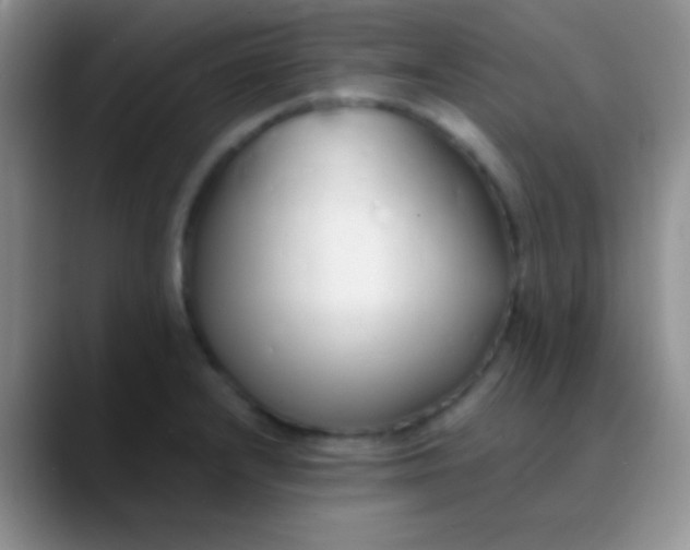 X0000089891232200707192008