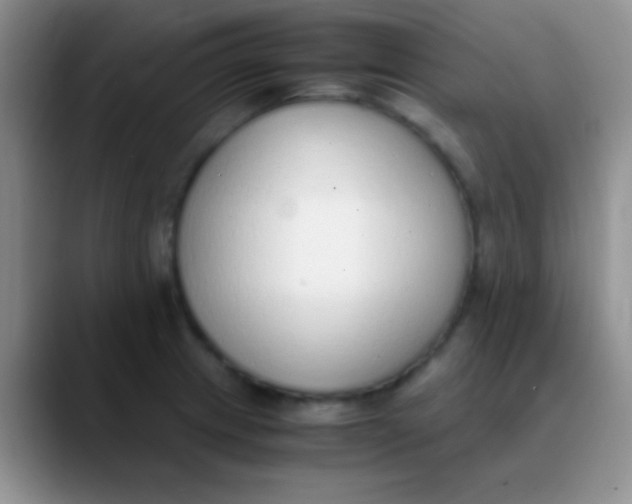 X0000089891233200707192008