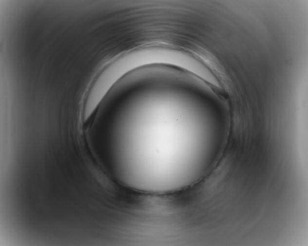 X0000089891234200707192008