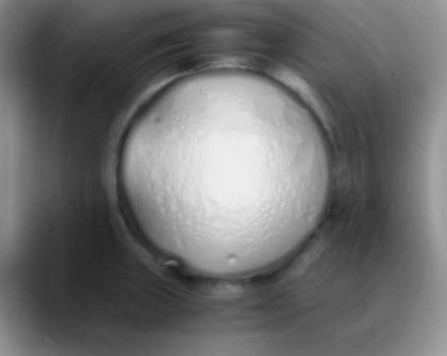 X0000089891235200707192008