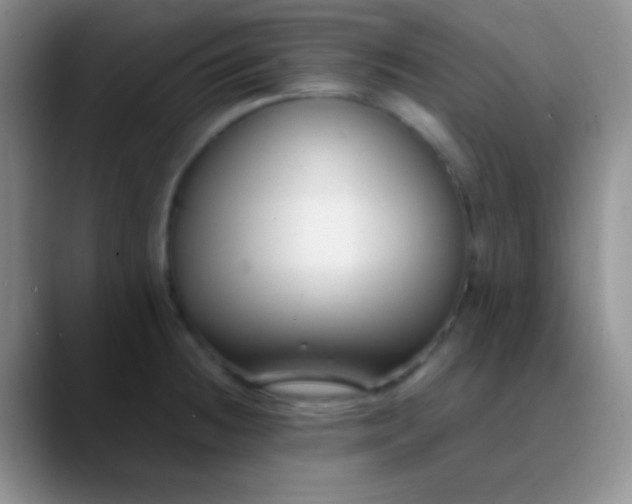 X0000089891236200707192008