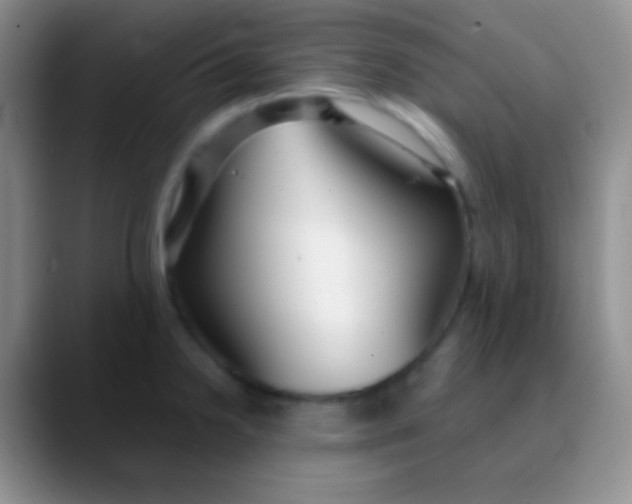 X0000089891238200707192008