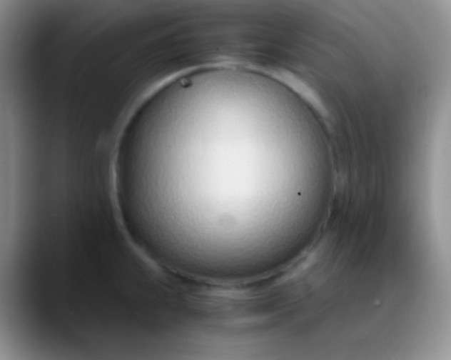 X0000089891239200707192008