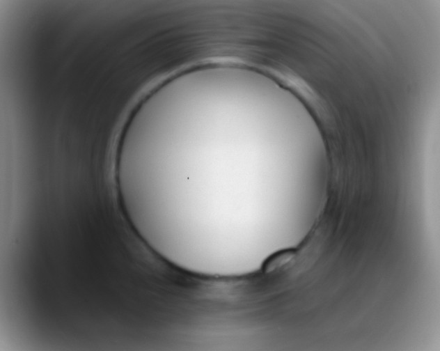 X0000089891240200707192008