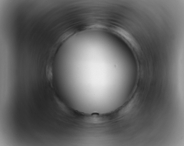 X0000089891241200707192008