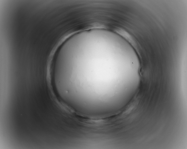 X0000089891243200707192008