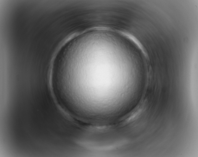 X0000089891245200707192008