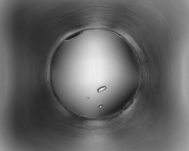 X0000089891246200707192009