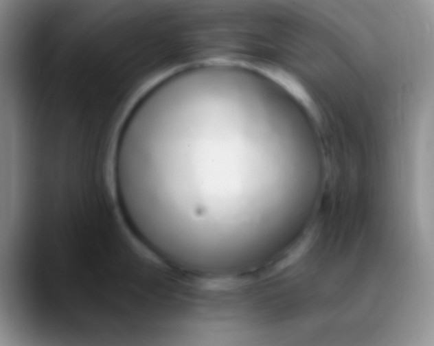 X0000089891247200707192009