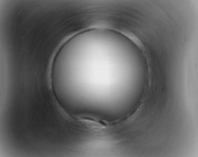 X0000089891248200707192009