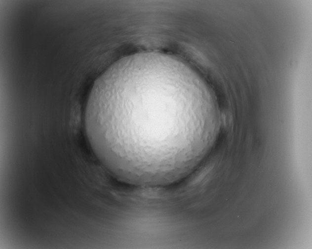 X0000089891251200707192008