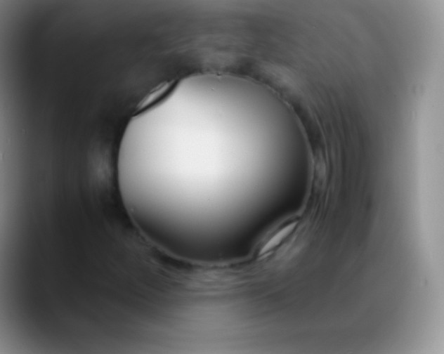 X0000089891252200707192008