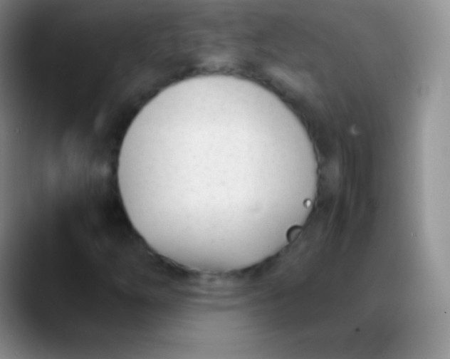 X0000089891254200707192008