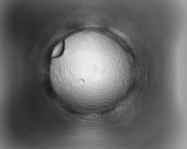 X0000089891255200707192008