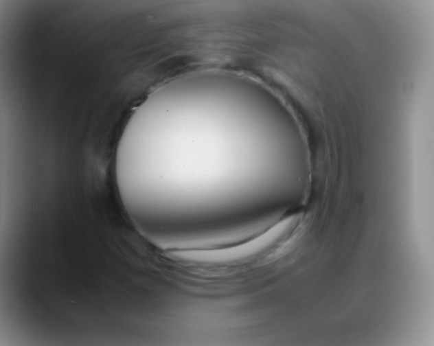 X0000089891257200707192008