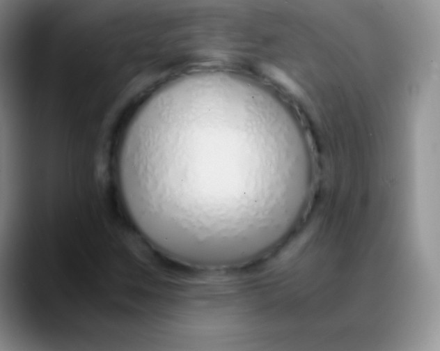 X0000089891259200707192008