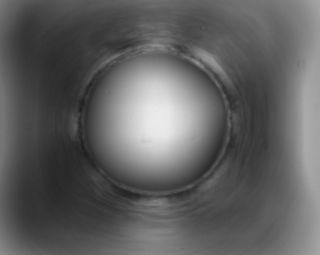 X0000089891260200707192008