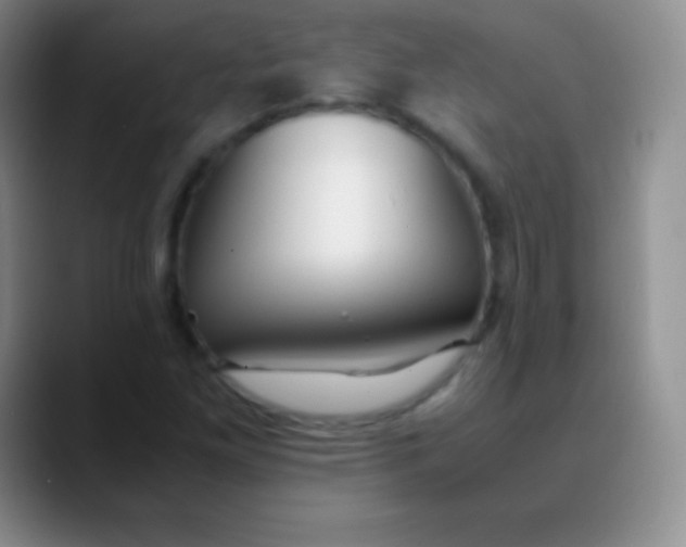 X0000089891261200707192008