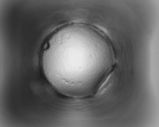 X0000089891263200707192008