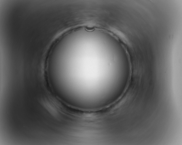 X0000089891264200707192008