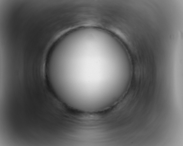 X0000089891270200707192008