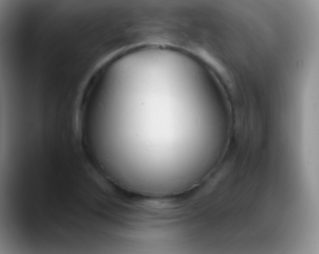 X0000089891272200707192008