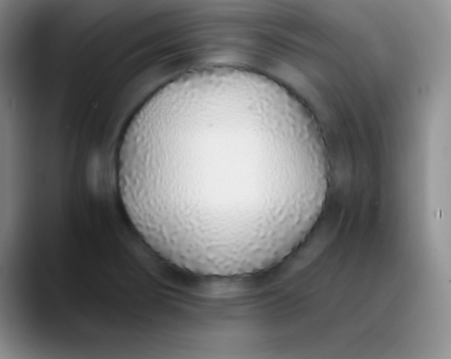 X0000089891274200707192008