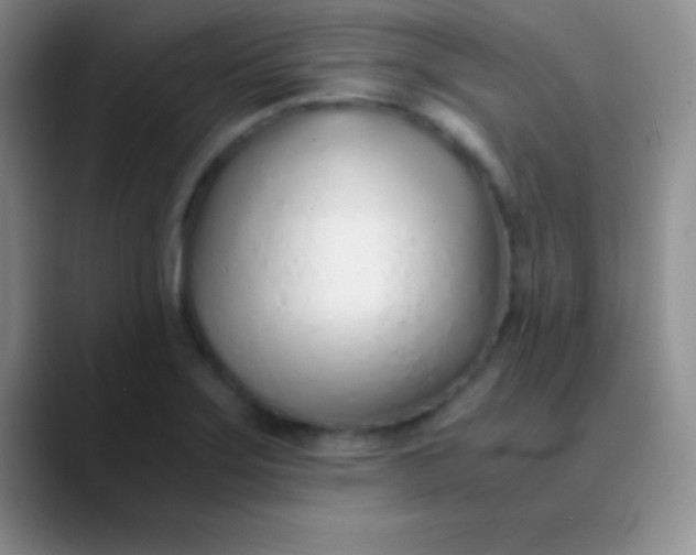 X0000089891275200707192008