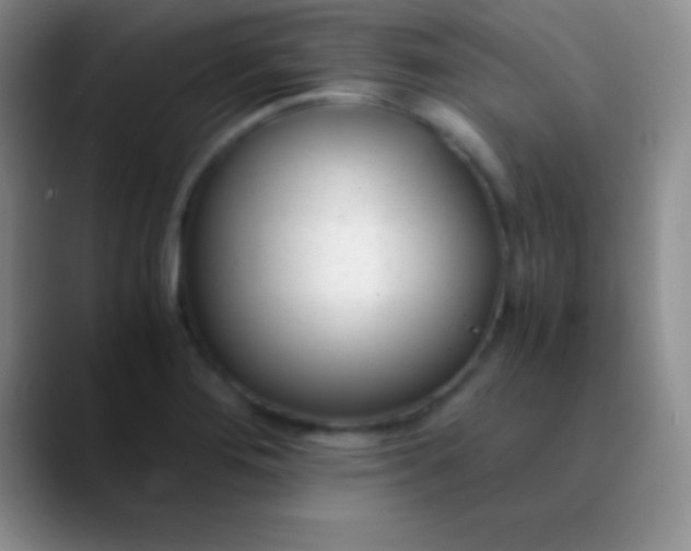 X0000089891276200707192008