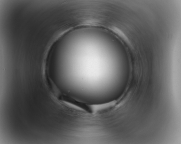 X0000089891277200707192008