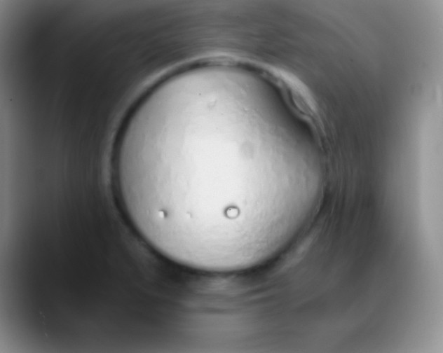 X0000089891279200707192008