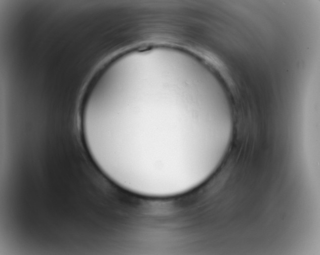 X0000089891280200707192008