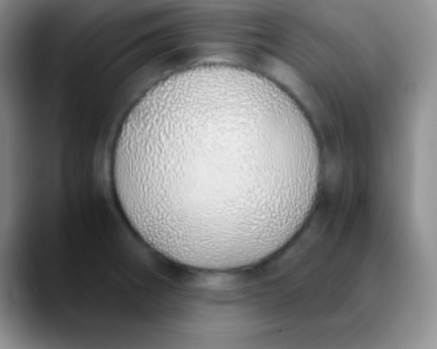 X0000089891282200707192008