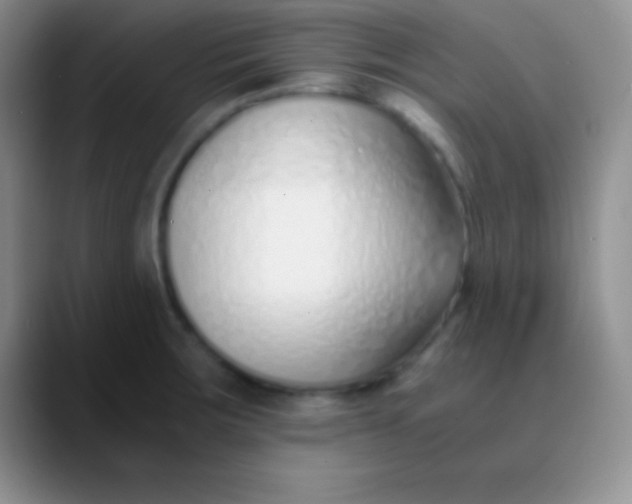 X0000089891283200707192008