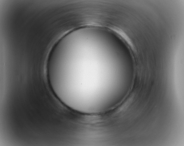 X0000089891285200707192008