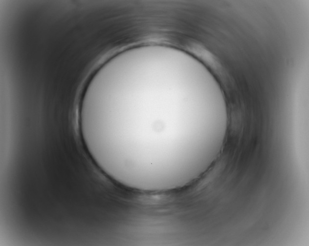 X0000089891286200707192008