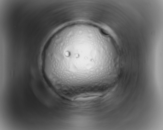 X0000089891287200707192008