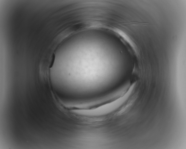 X0000089891289200707192008